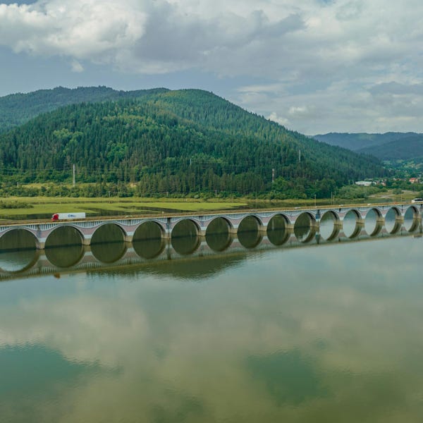 Kostenloses Stock Foto zu abenteuerlustiger, baum, berg